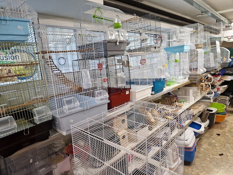 Oasi a Quattro Zampe - Foto 5