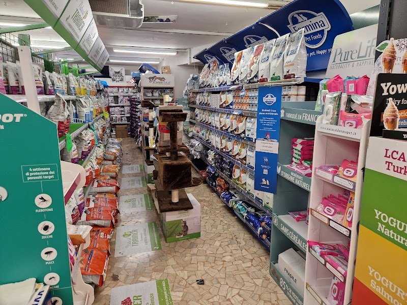 Oasi a Quattro Zampe - Foto 6