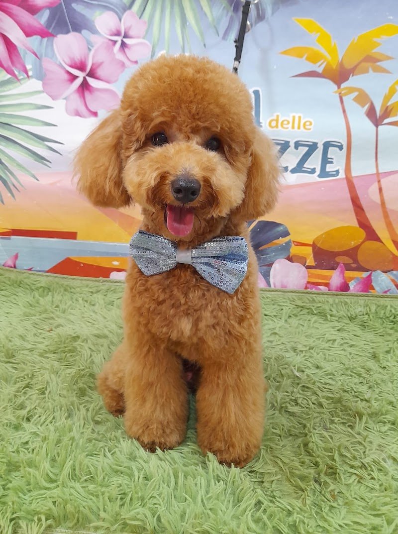 Oasi delle Tenerezze - Foto 1