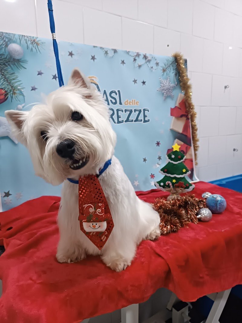 Oasi delle Tenerezze - Foto 2