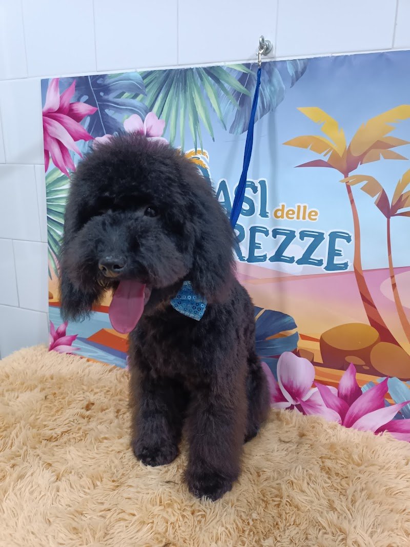 Oasi delle Tenerezze - Foto 3