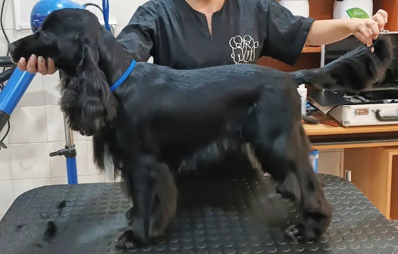 Oasi delle Tenerezze - Foto 4