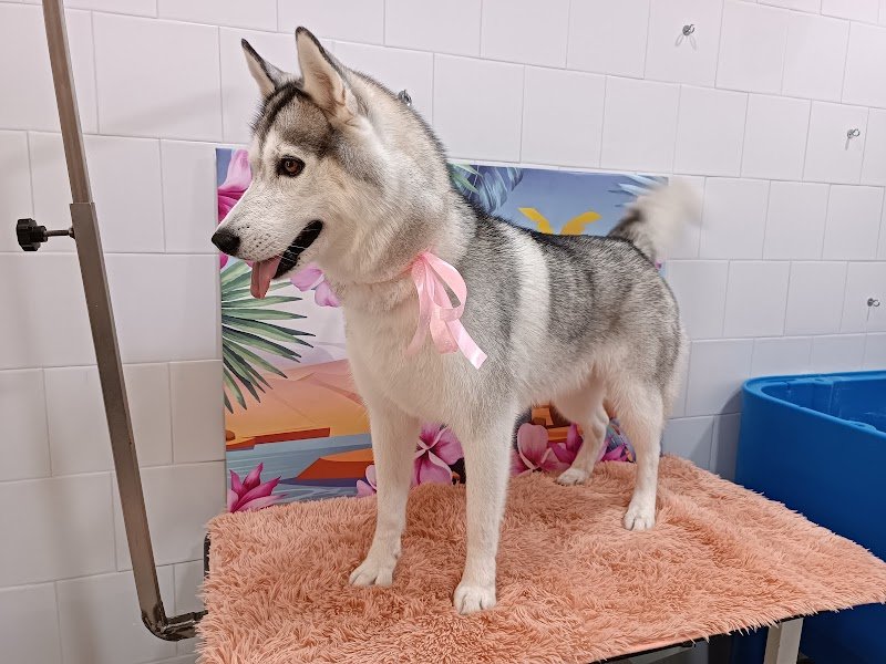 Oasi delle Tenerezze - Foto 5