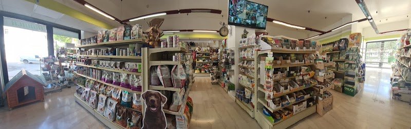 Occhi di gatto Srls - Foto 1