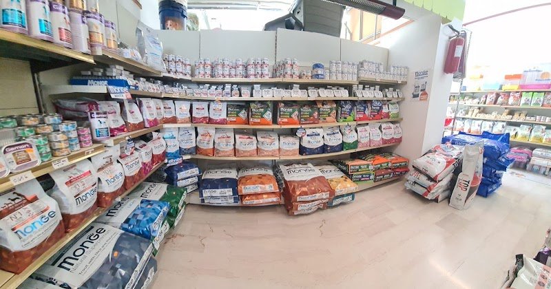 Occhi di gatto Srls - Foto 5