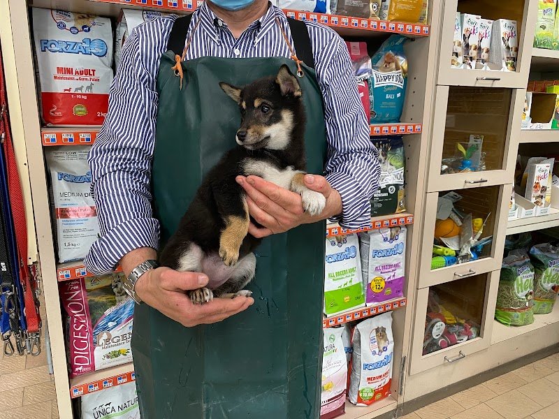 O.D. Zoo - Negozio di Animali e Toelettatura - Foto 2