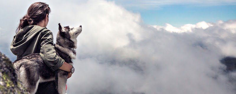 Officina Canis - Foto 1