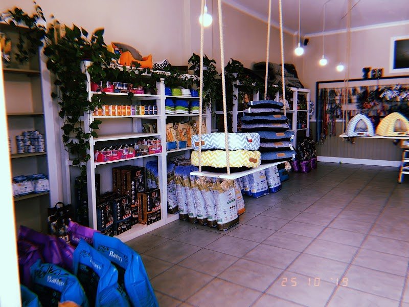 Officina Canis - Foto 4