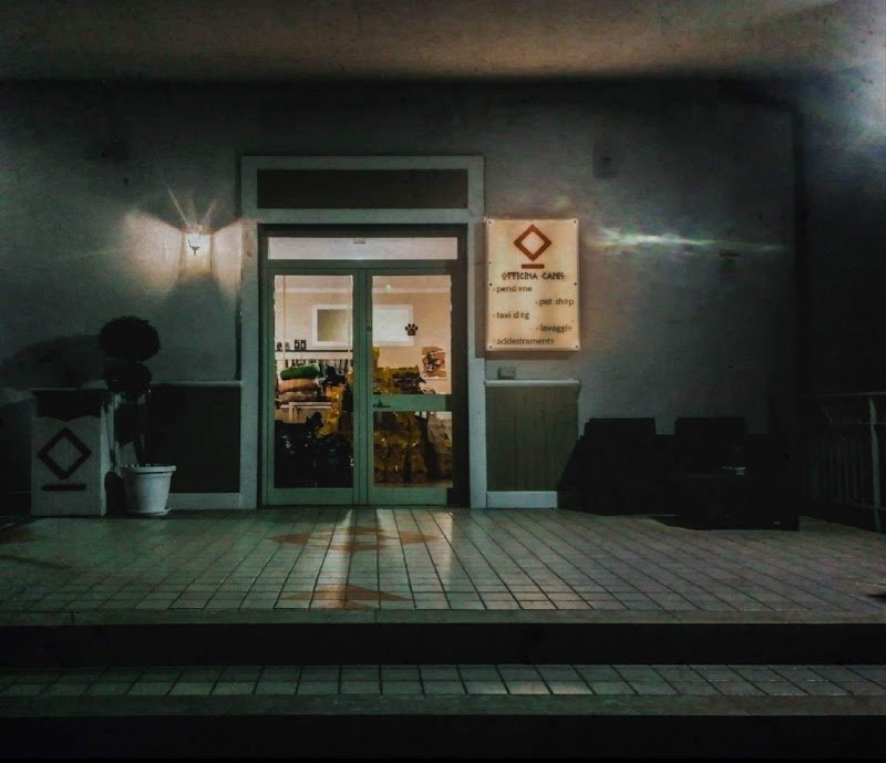 Officina Canis - Foto 6