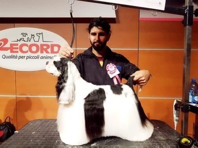 Officina Del Cane - Foto 4