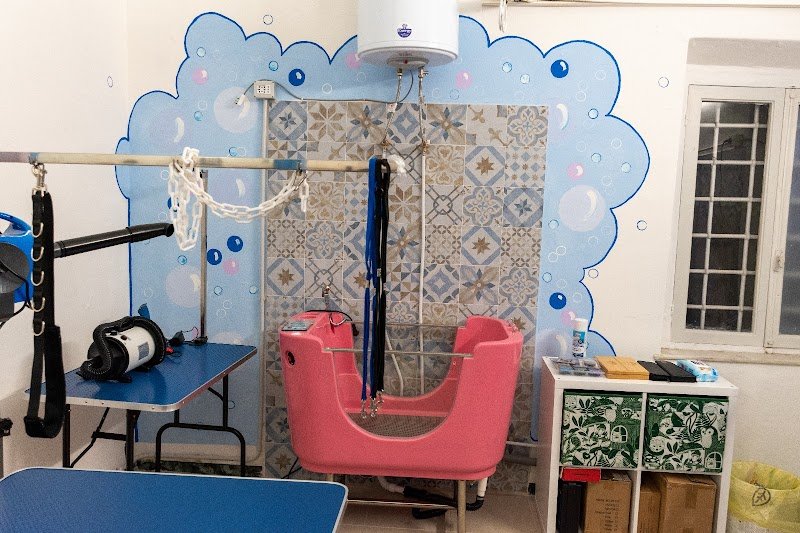 Oh my dog, by Freshdog Italia - Foto 4