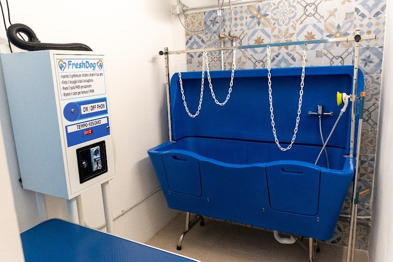 Oh my dog, by Freshdog Italia - Foto 6