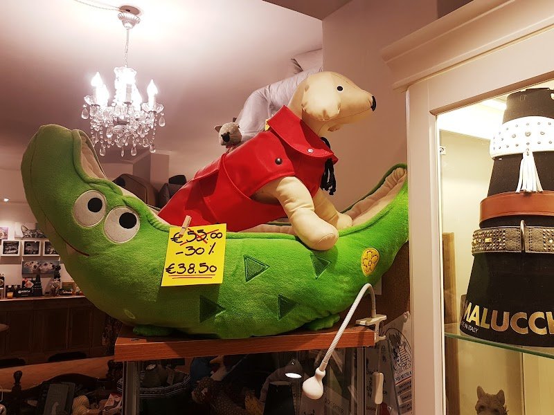 OH MY DOGS! - Foto 3