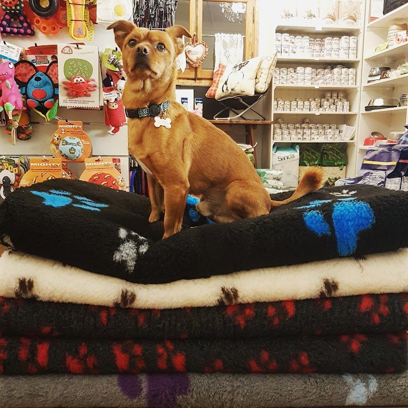 OH MY DOGS! - Foto 4