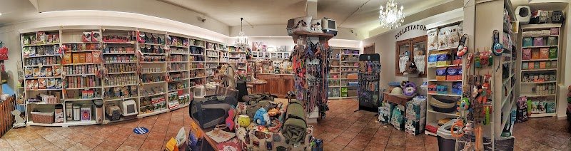 OH MY DOGS! - Foto 5