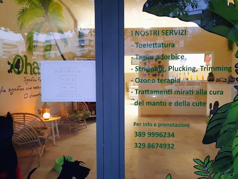 Ohana Toelettatura - Foto 3