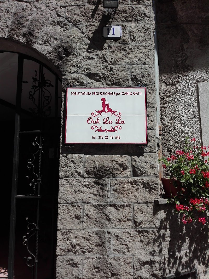Ooh La La Toelettatura Acquapendente - Foto 5