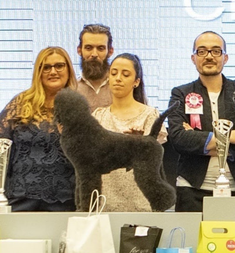 Ooh La La Toelettatura Acquapendente - Foto 6