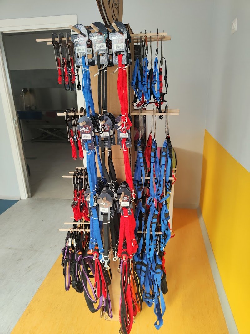 Oreo Pet Center - Foto 4