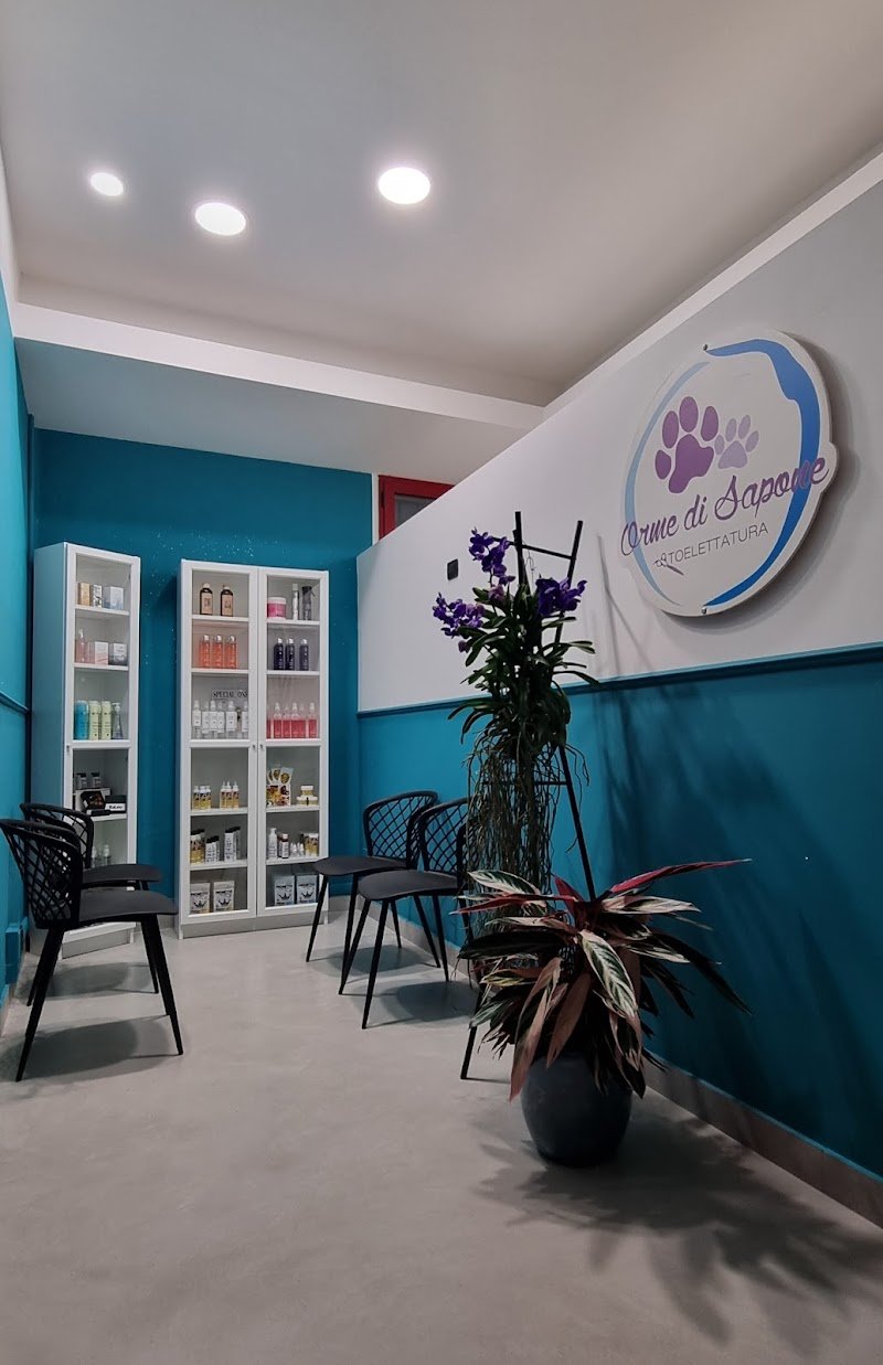 Orme di Sapone Di Cimatti Alice - Foto 1