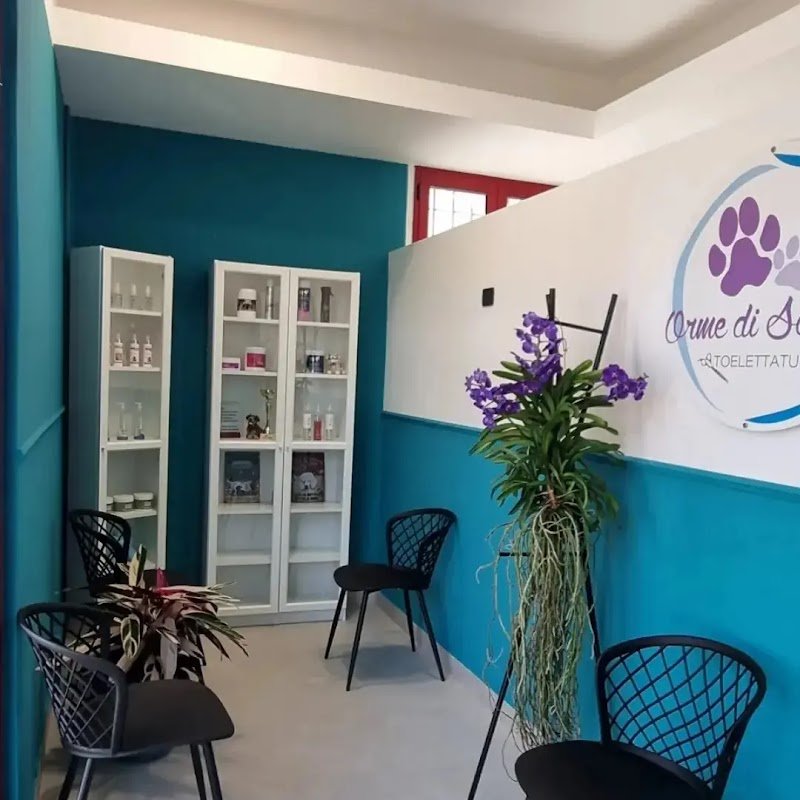 Orme di Sapone Di Cimatti Alice - Foto 4