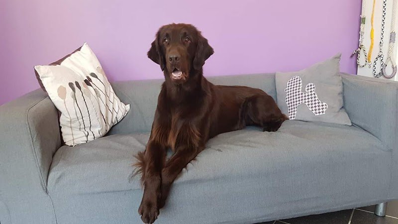 Orme di Sapone Di Cimatti Alice - Foto 6