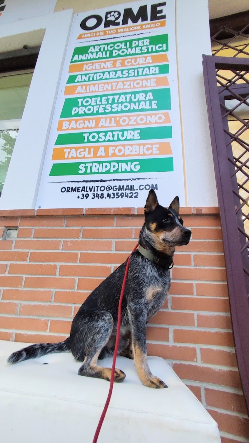 Orme - Pet Shop e Toeletta - Foto 3