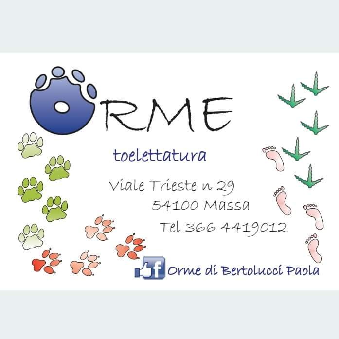 Orme Toelettatura - Foto 1