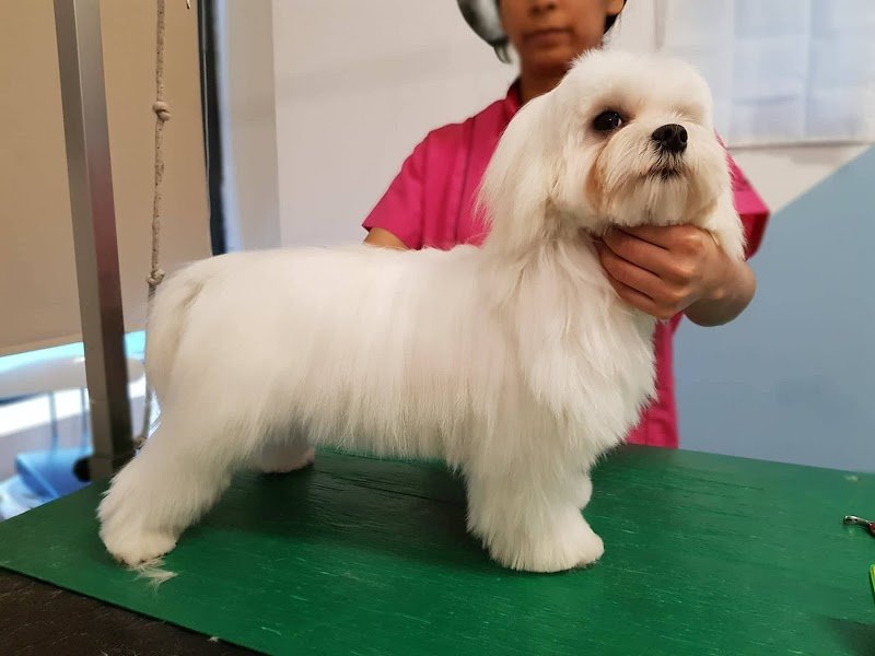 Oscar Toilette di Benedetta Regoli - Foto 6