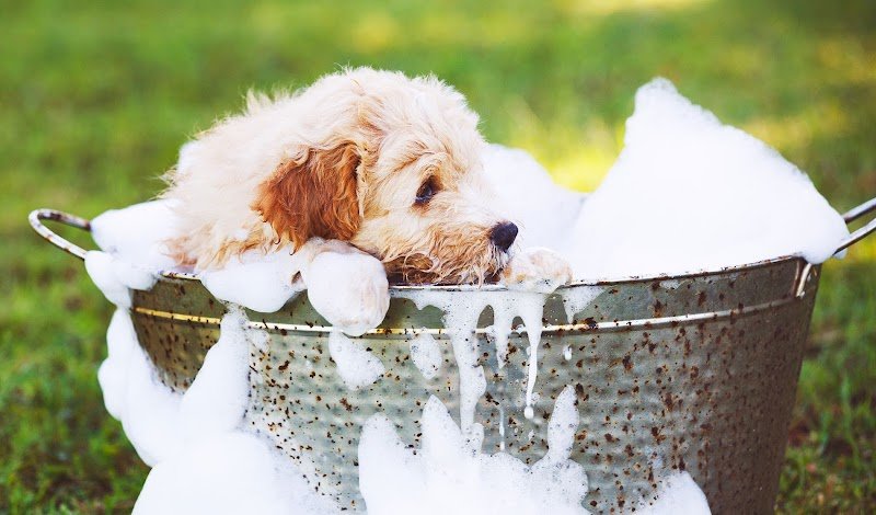 Ottobassotto Snc Bergamo - Foto 1