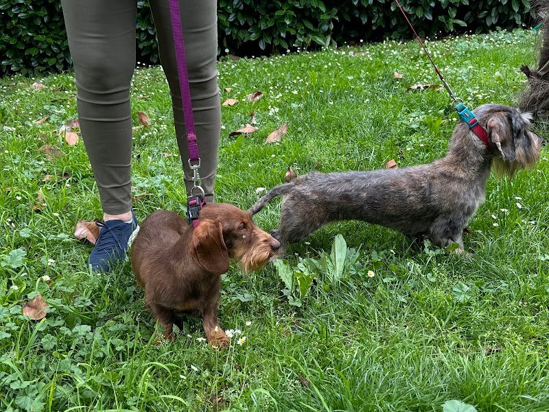 Ottobassotto Snc Bergamo - Foto 2