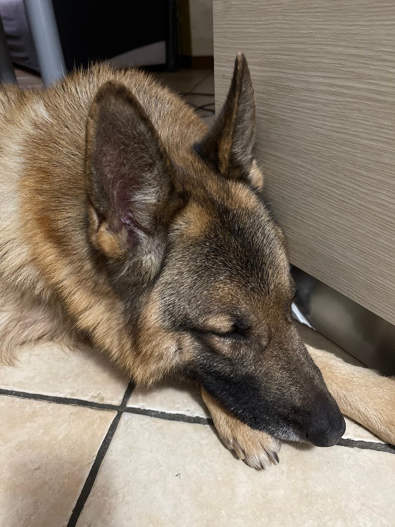 Ottobassotto Snc Bergamo - Foto 4