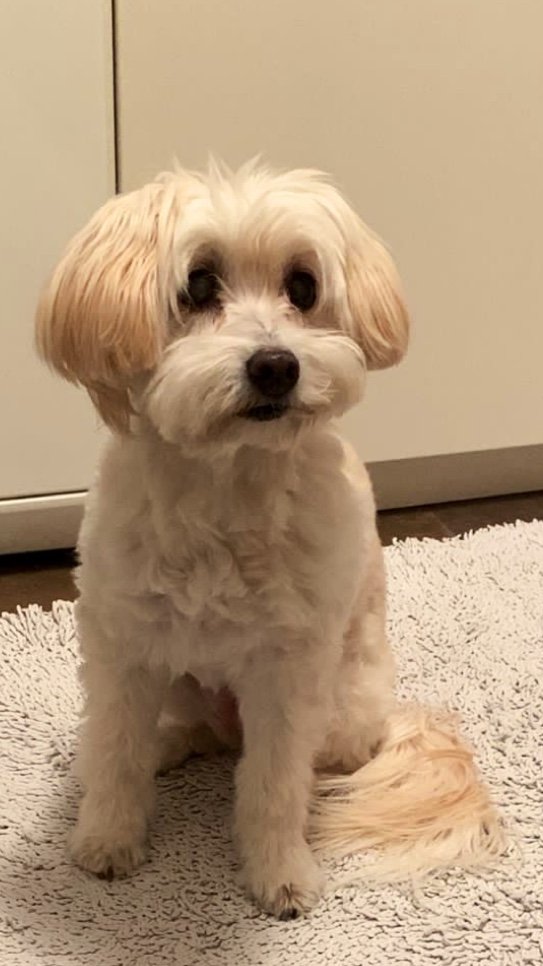 Ottobassotto Snc Bergamo - Foto 5