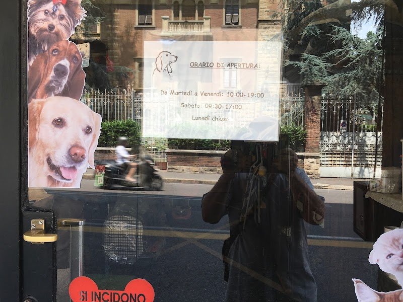 Ottobassotto Snc Bergamo - Foto 6