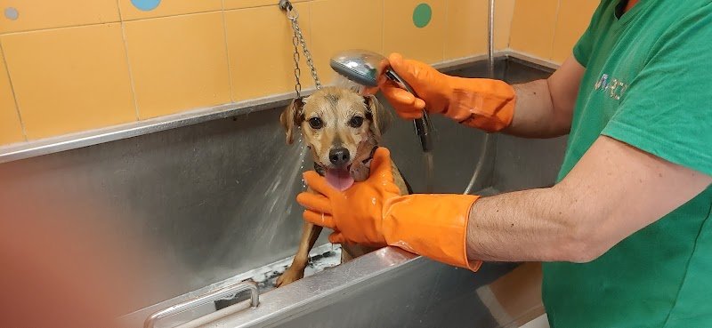 Palla di pelo - Foto 1