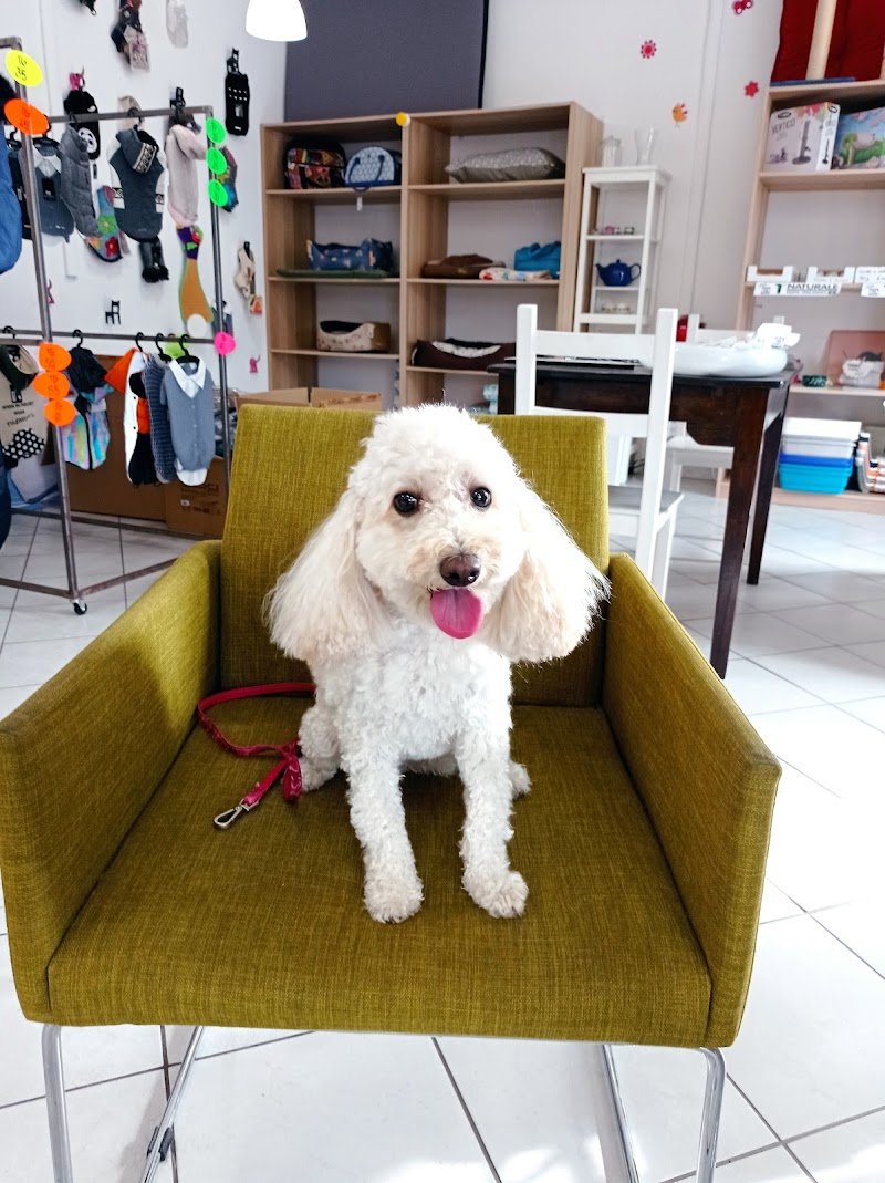 Palla di pelo - Foto 2