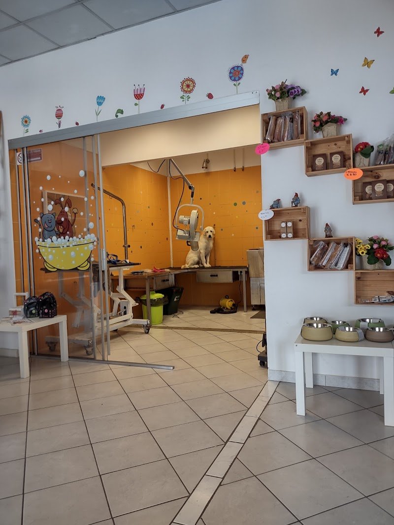 Palla di pelo - Foto 3