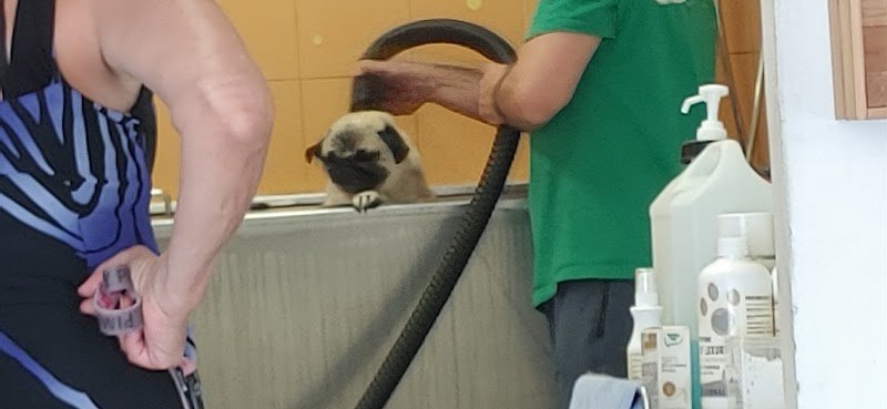 Palla di pelo - Foto 6