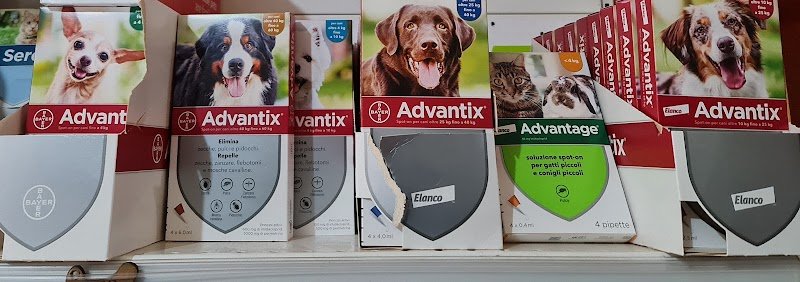 Pappa & Cuccia di Mercuri Antonio - Foto 2