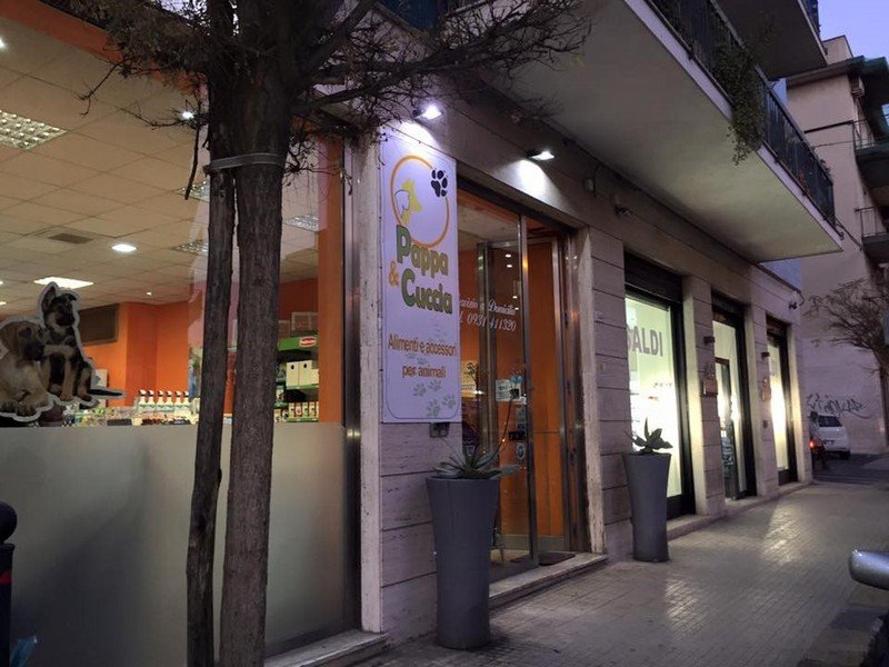 Pappa & Cuccia Mangimi per animali - Toelettatura - Foto 4