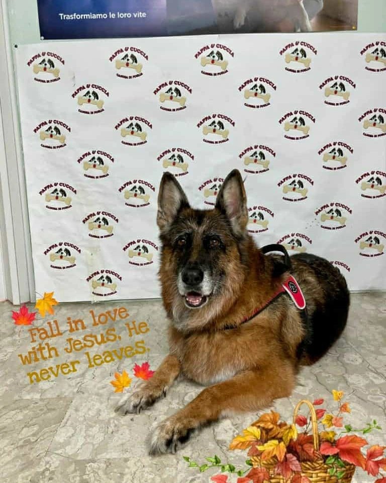 Pappa e Cuccia - Foto 4