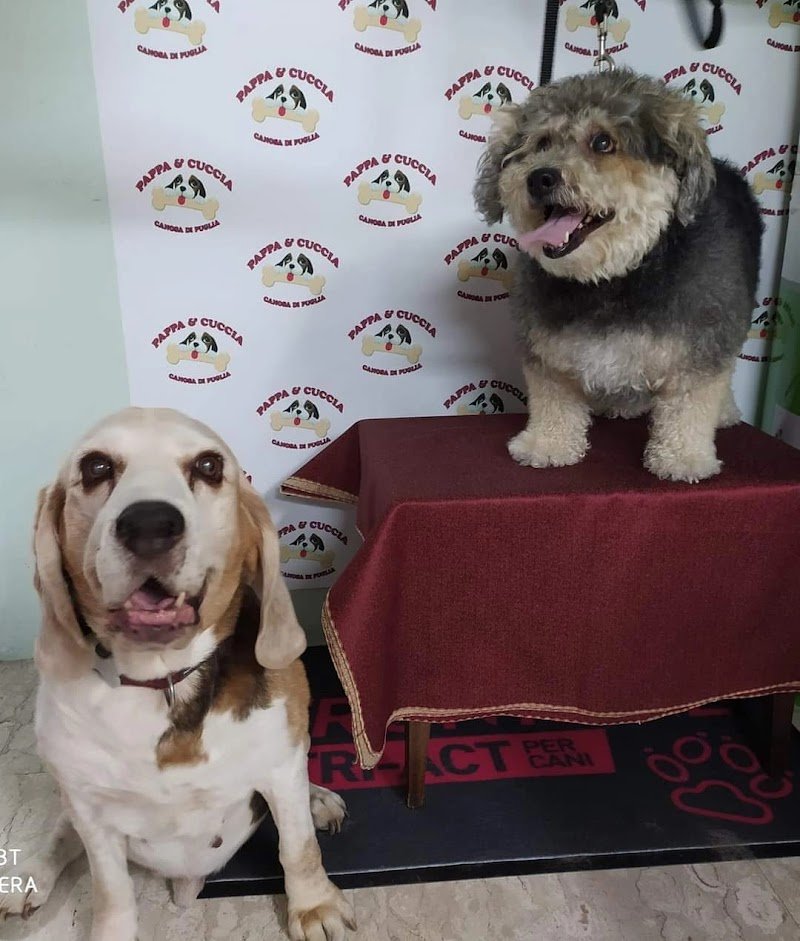 Pappa e Cuccia - Foto 5