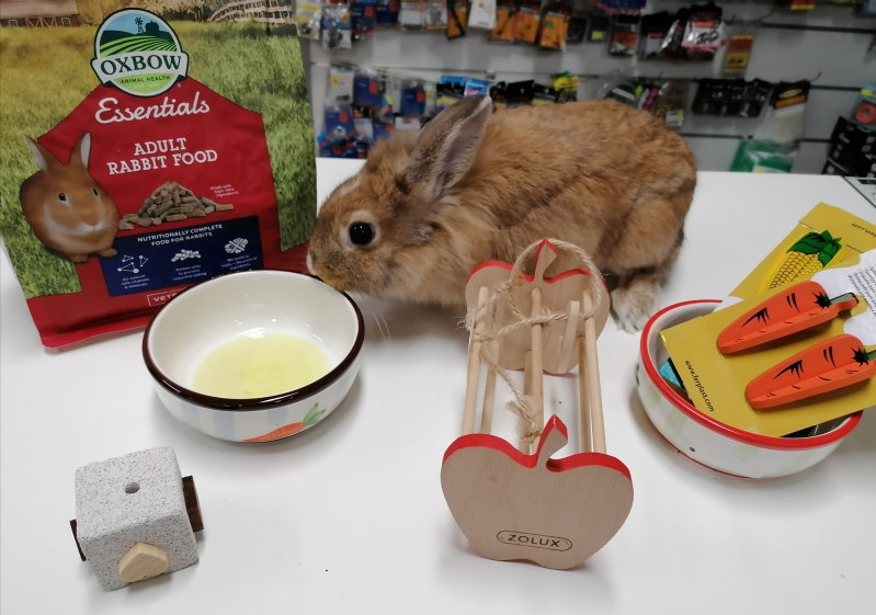 Pappa e Cuccia Petshop & Fishing - Toelettatura - Pesca - Foto 2