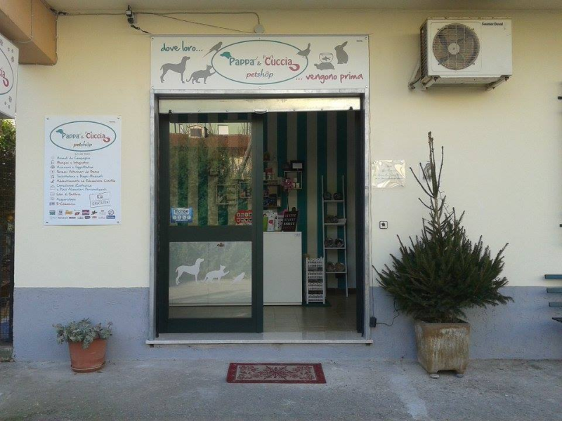 Pappa e Cuccia Petshop & Fishing - Toelettatura - Pesca - Foto 4