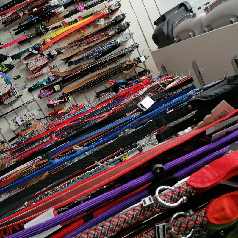 Pappa e Cuccia Petshop & Fishing - Toelettatura - Pesca - Foto 5