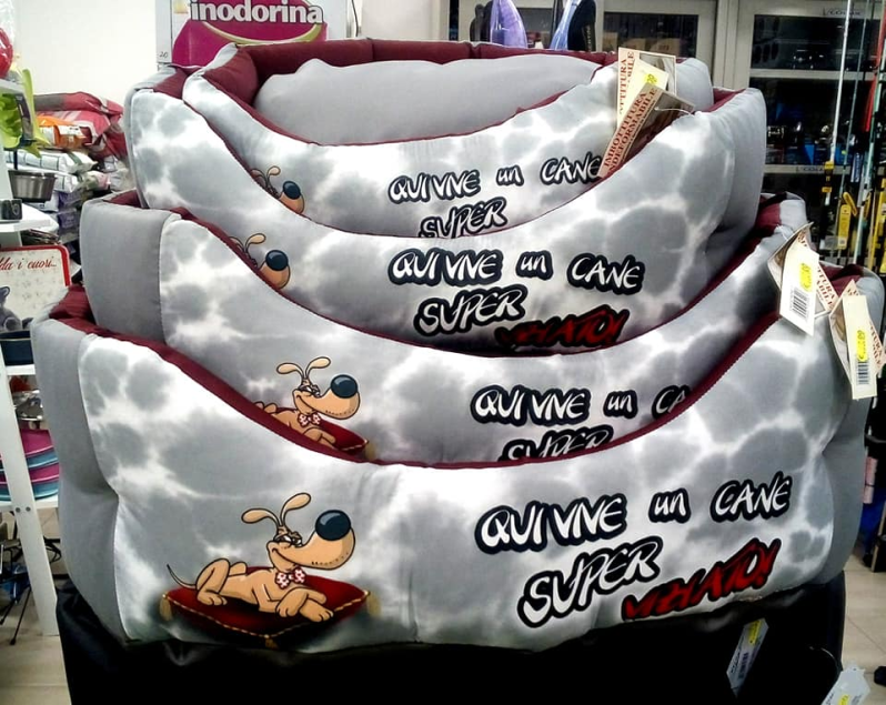 Pappa e Cuccia Petshop & Fishing - Toelettatura - Pesca - Foto 6