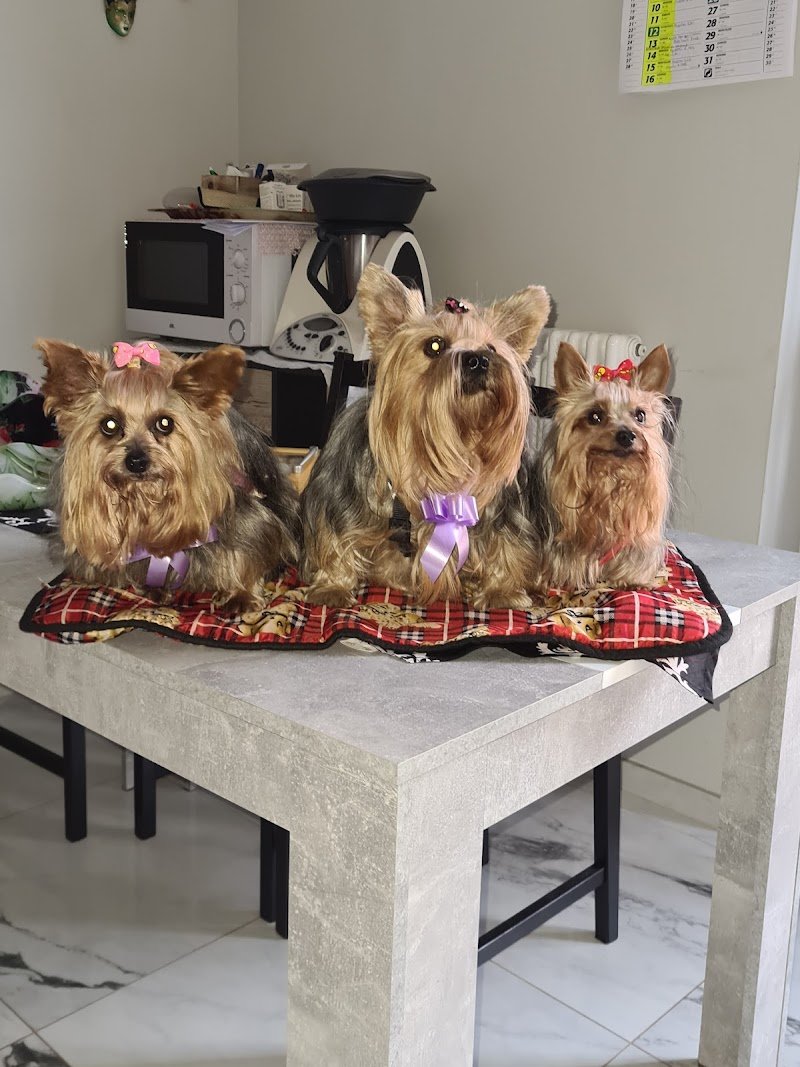 Pappa&Cuccia - Foto 2