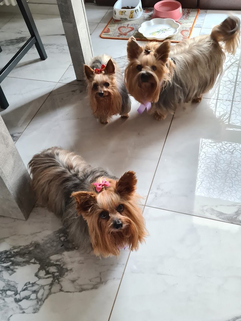 Pappa&Cuccia - Foto 3