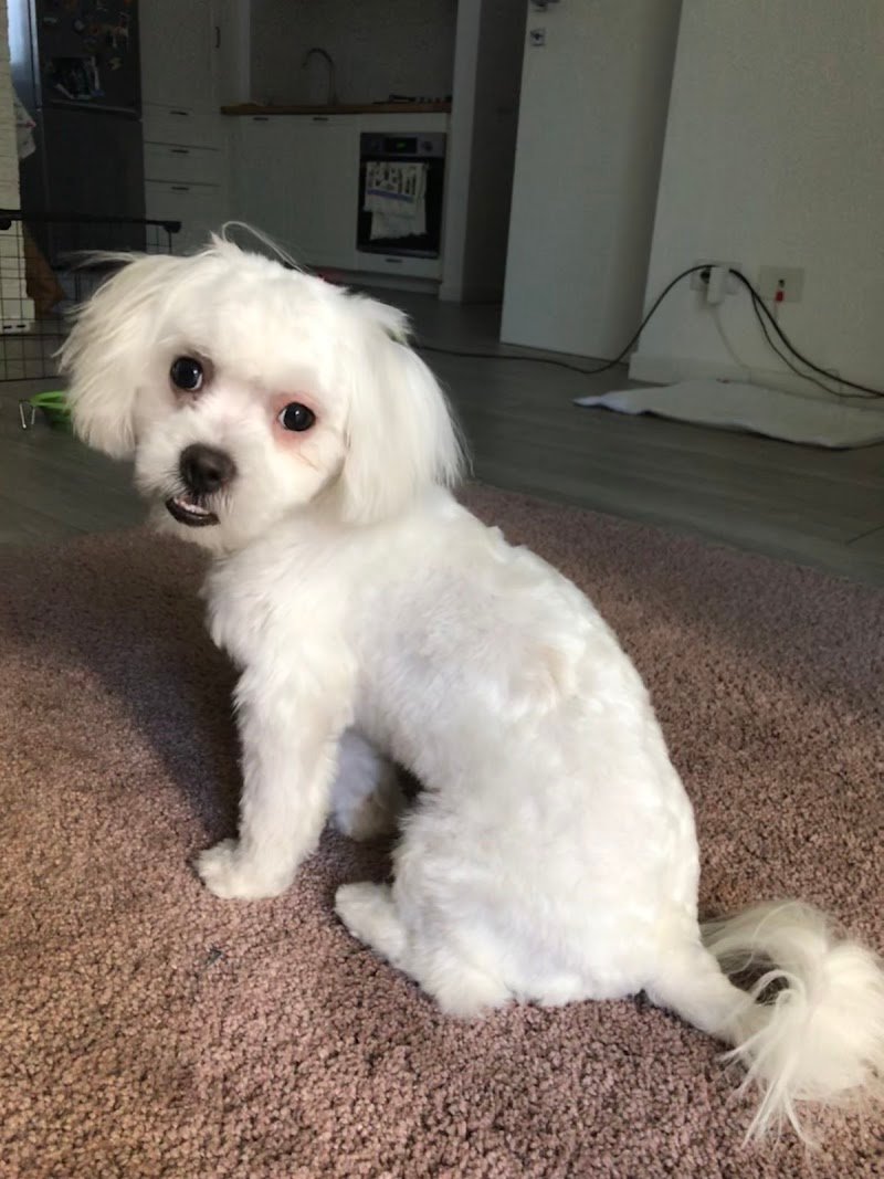 Pappa&Cuccia - Foto 5