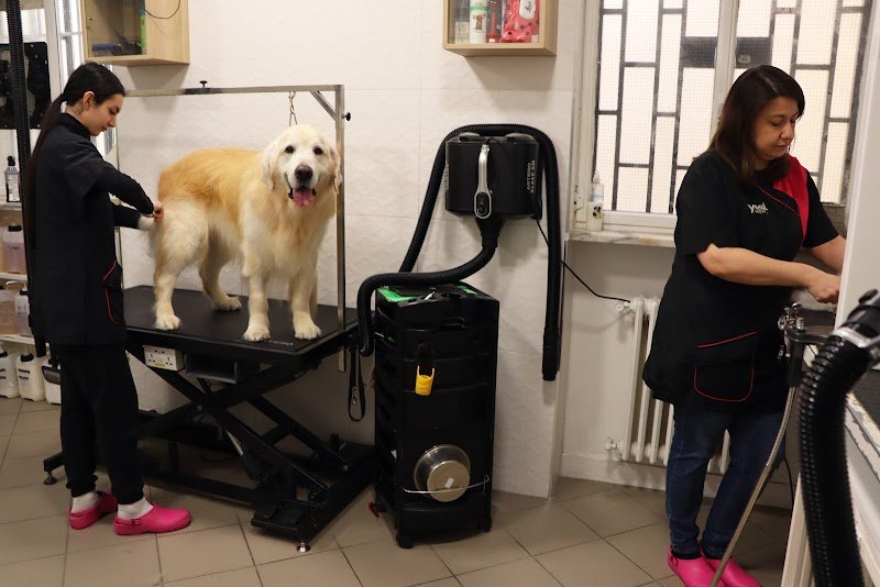 Parafarmaciapet ® - Foto 4